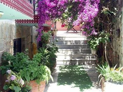 Sezgin Hotel Κουσάντασι Τουρκία